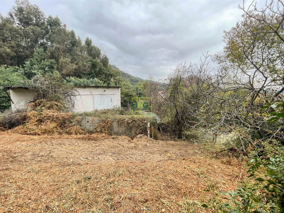 Quinta T4 para Venda em Louriçal do Campo Foto 89