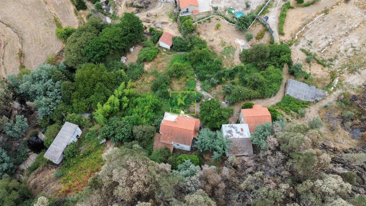 Quinta T4 para Venda em Louriçal do Campo Foto 65