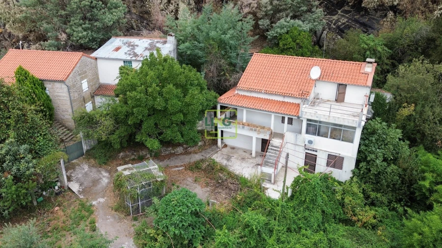 Quinta T4 para Venda em Louriçal do Campo