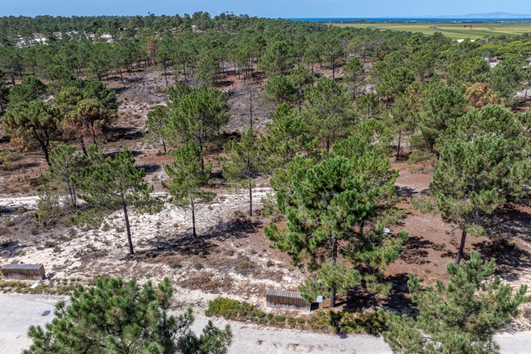 Terreno para Venda em Carvalhal Foto 7