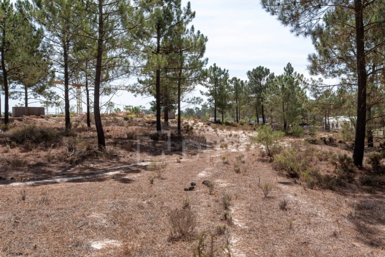 Terreno para Venda em Carvalhal Foto 5