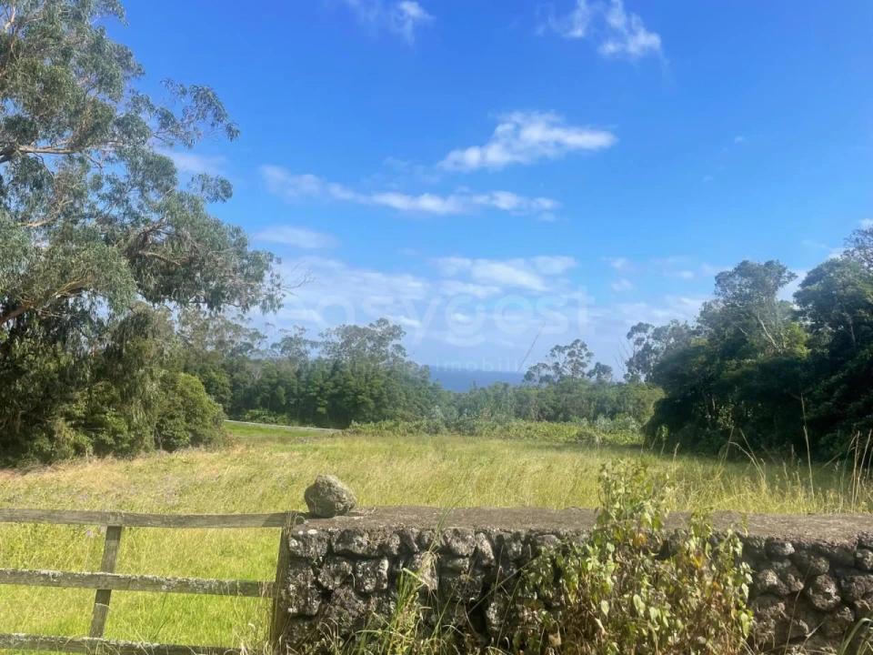 Terreno Agricola ou Rústico para Venda em Porto Martins Foto 1