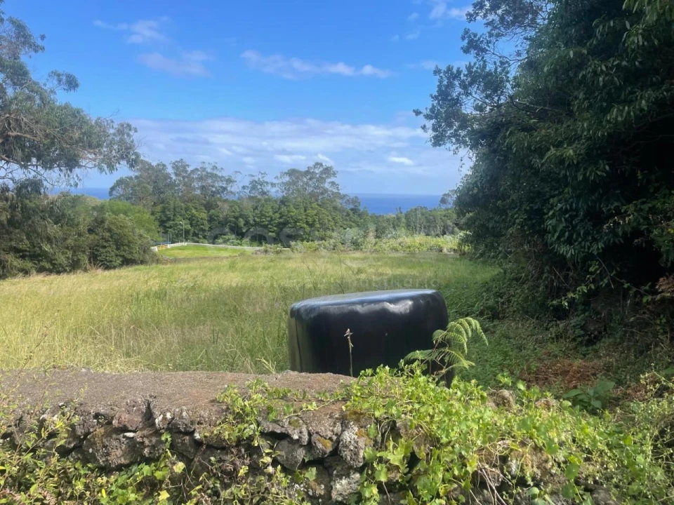 Terreno Agricola ou Rústico para Venda em Porto Martins Foto 4