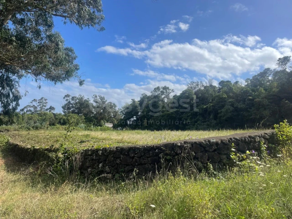 Terreno Agricola ou Rústico para Venda em Porto Martins Foto 7