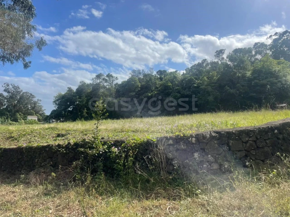 Terreno Agricola ou Rústico para Venda em Porto Martins Foto 10