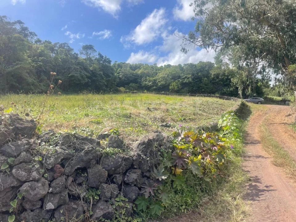 Terreno Agricola ou Rústico para Venda em Porto Martins Foto 12
