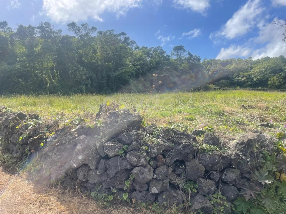 Terreno Agricola ou Rústico para Venda em Porto Martins Foto 13