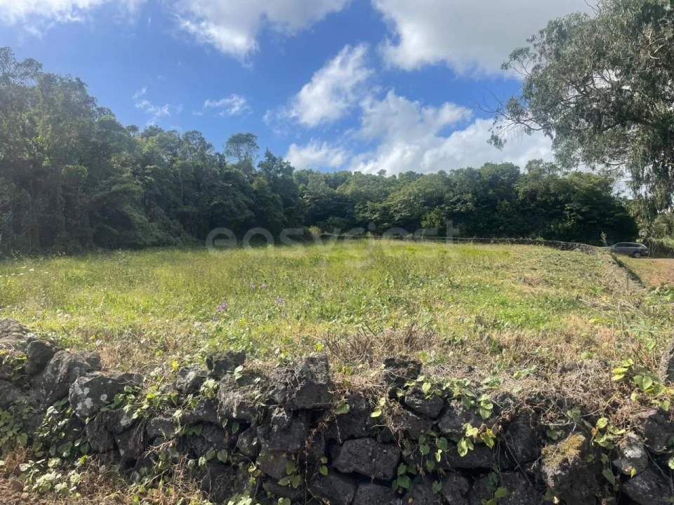Terreno Agricola ou Rústico para Venda em Porto Martins Foto 14