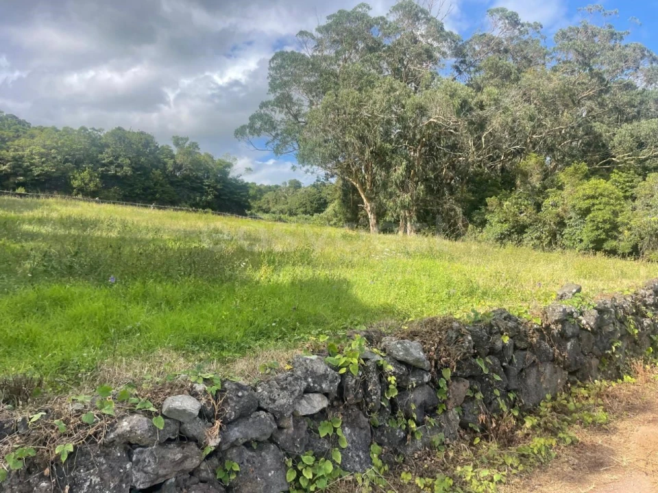 Terreno Agricola ou Rústico para Venda em Porto Martins Foto 17