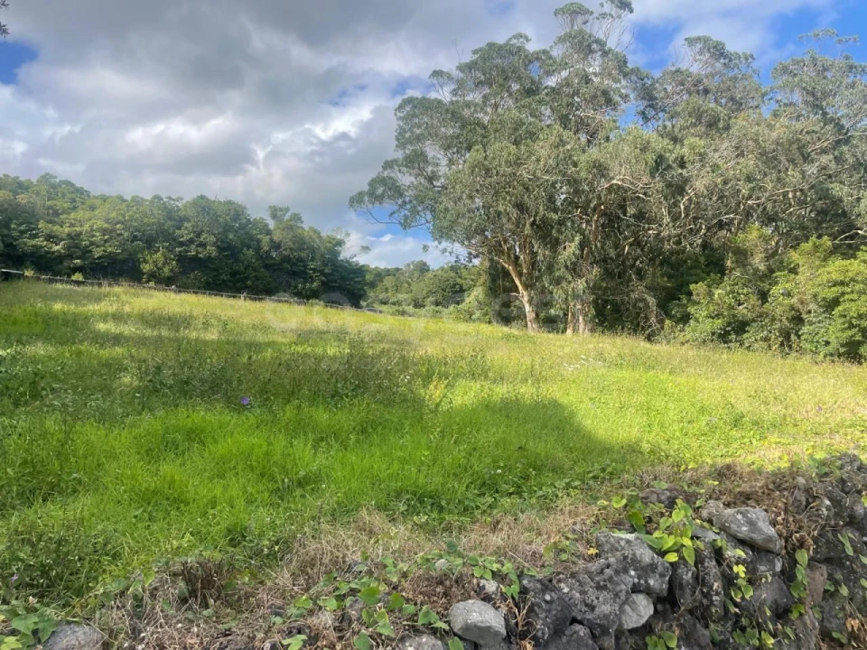 Terreno Agricola ou Rústico para Venda em Porto Martins Foto 18