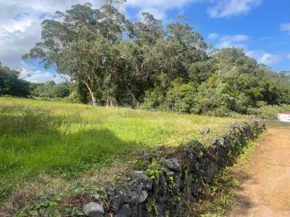 Terreno Agricola ou Rústico para Venda em Porto Martins Foto 19