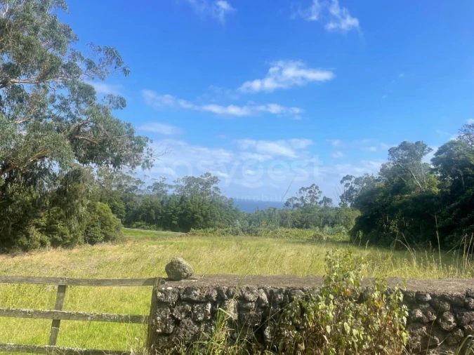 Terreno Agricola ou Rústico para Venda em Porto Martins Foto 1