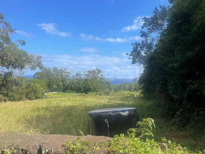 Terreno Agricola ou Rústico para Venda em Porto Martins Foto 2