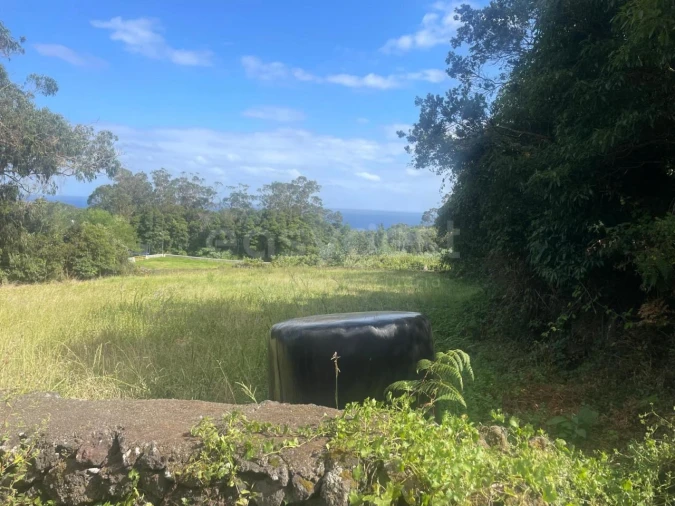 Terreno Agricola ou Rústico para Venda em Porto Martins Foto 3