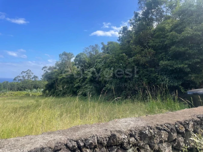Terreno Agricola ou Rústico para Venda em Porto Martins Foto 5