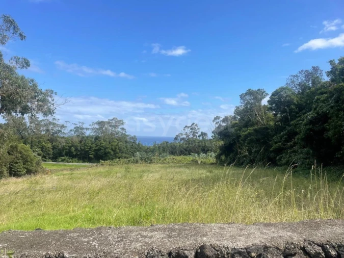 Terreno Agricola ou Rústico para Venda em Porto Martins Foto 6