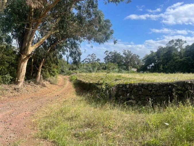 Terreno Agricola ou Rústico para Venda em Porto Martins Foto 9