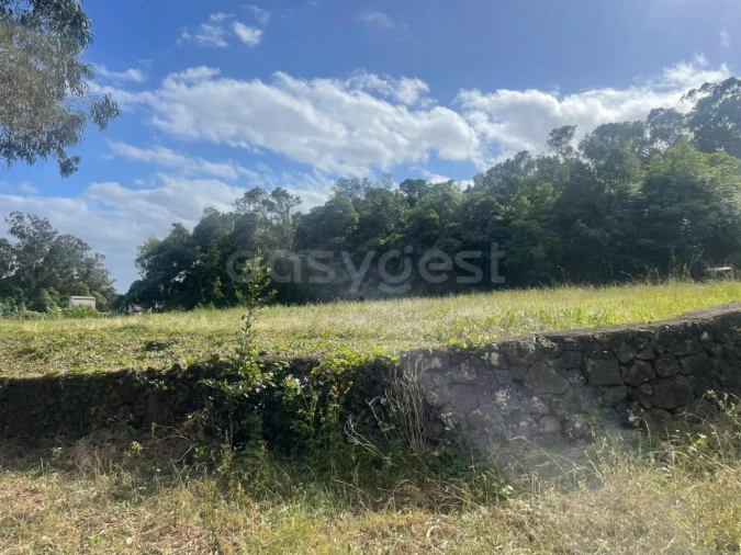 Terreno Agricola ou Rústico para Venda em Porto Martins Foto 10