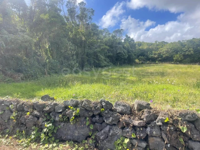 Terreno Agricola ou Rústico para Venda em Porto Martins Foto 15