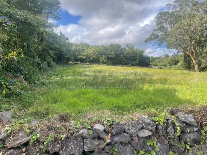 Terreno Agricola ou Rústico para Venda em Porto Martins Foto 16