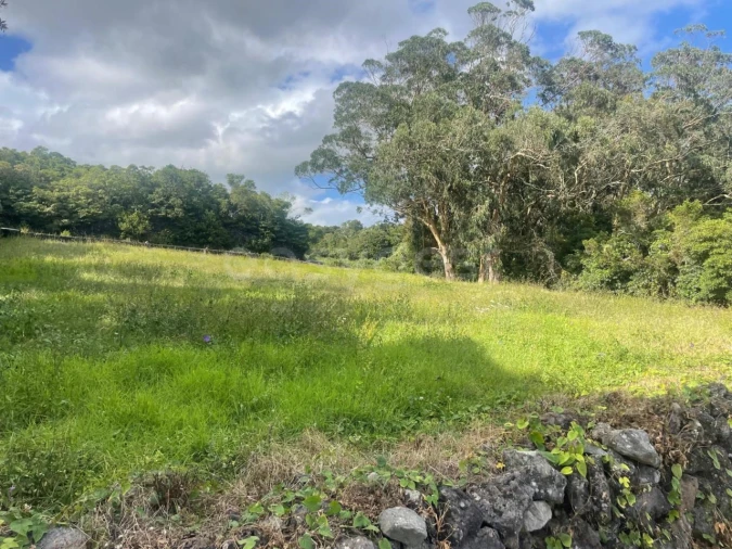 Terreno Agricola ou Rústico para Venda em Porto Martins Foto 18