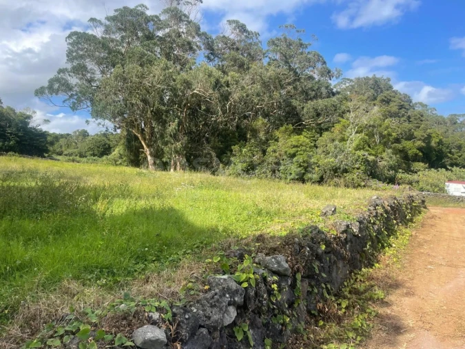 Terreno Agricola ou Rústico para Venda em Porto Martins Foto 19