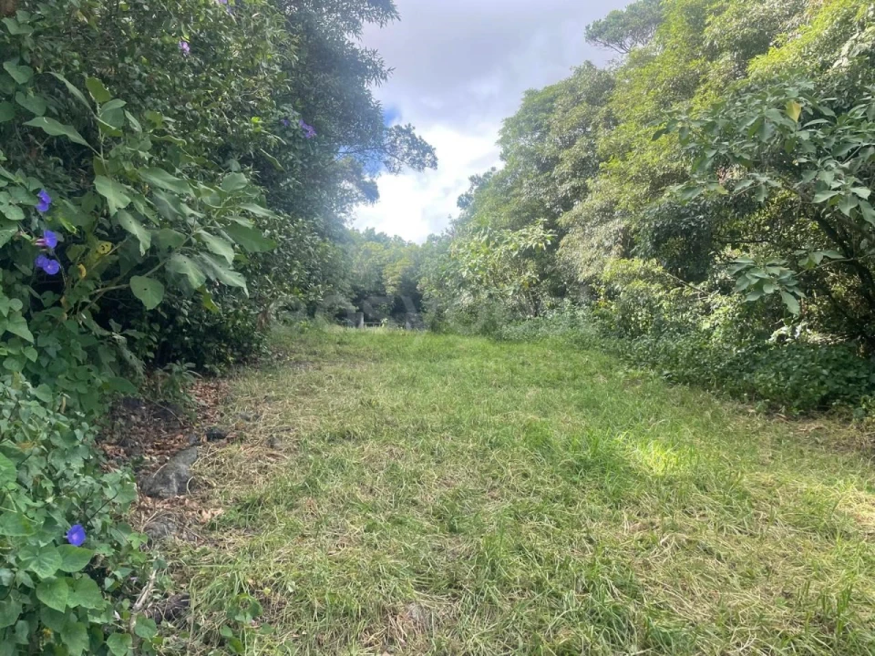 Terreno Agricola ou Rústico para Venda em Porto Martins Foto 2