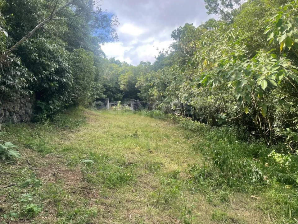 Terreno Agricola ou Rústico para Venda em Porto Martins Foto 5