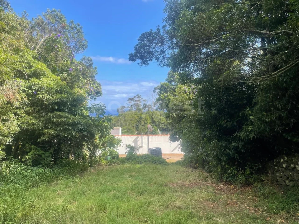 Terreno Agricola ou Rústico para Venda em Porto Martins Foto 6