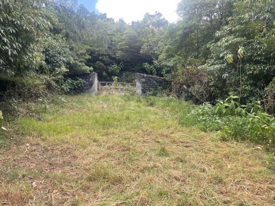 Terreno Agricola ou Rústico para Venda em Porto Martins Foto 7