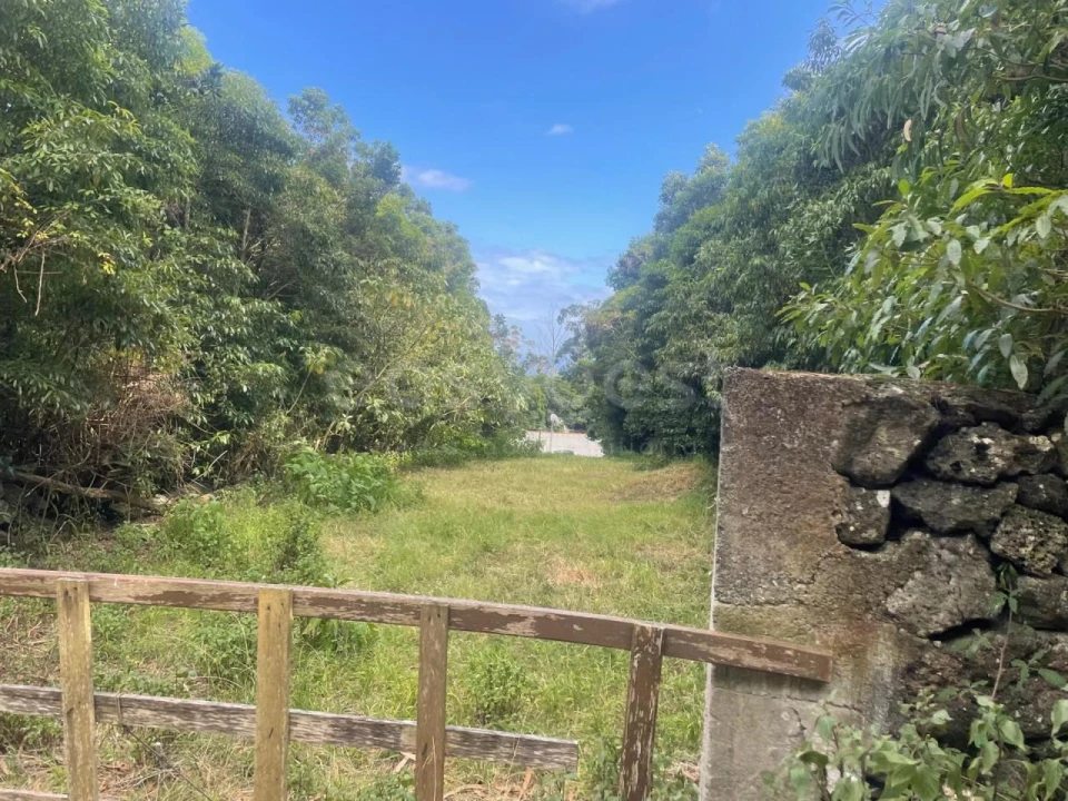 Terreno Agricola ou Rústico para Venda em Porto Martins Foto 8