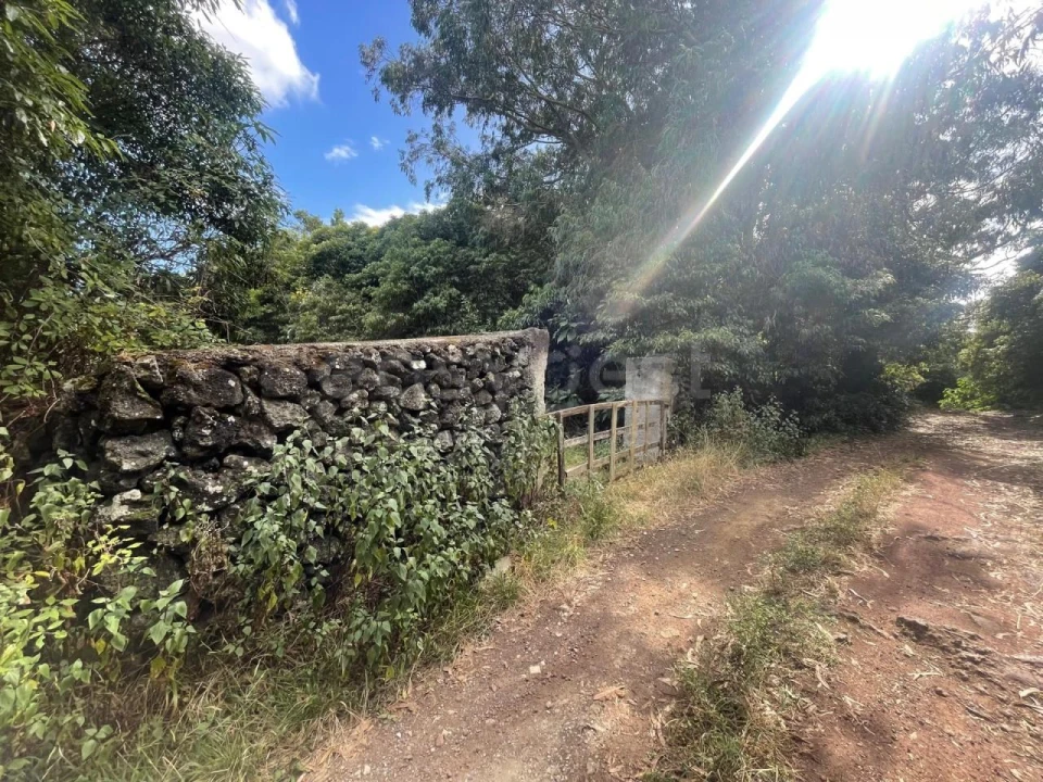 Terreno Agricola ou Rústico para Venda em Porto Martins Foto 10