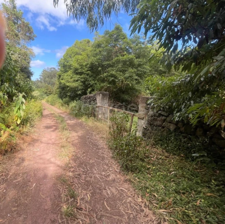 Terreno Agricola ou Rústico para Venda em Porto Martins Foto 11