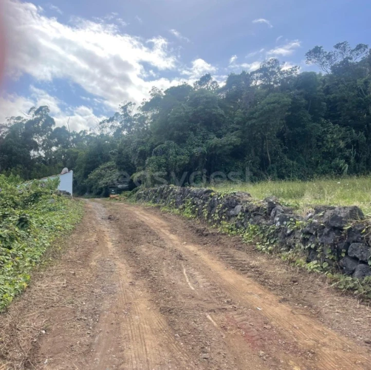 Terreno Agricola ou Rústico para Venda em Porto Martins Foto 14