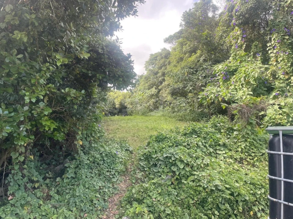 Terreno Agricola ou Rústico para Venda em Porto Martins Foto 18