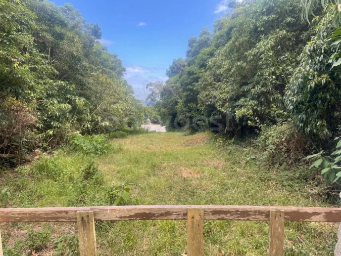 Terreno Agricola ou Rústico para Venda em Porto Martins Foto 1