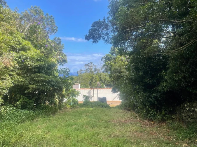 Terreno Agricola ou Rústico para Venda em Porto Martins Foto 6