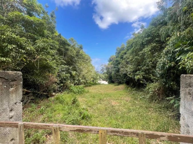 Terreno Agricola ou Rústico para Venda em Porto Martins Foto 12