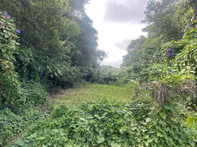Terreno Agricola ou Rústico para Venda em Porto Martins Foto 17