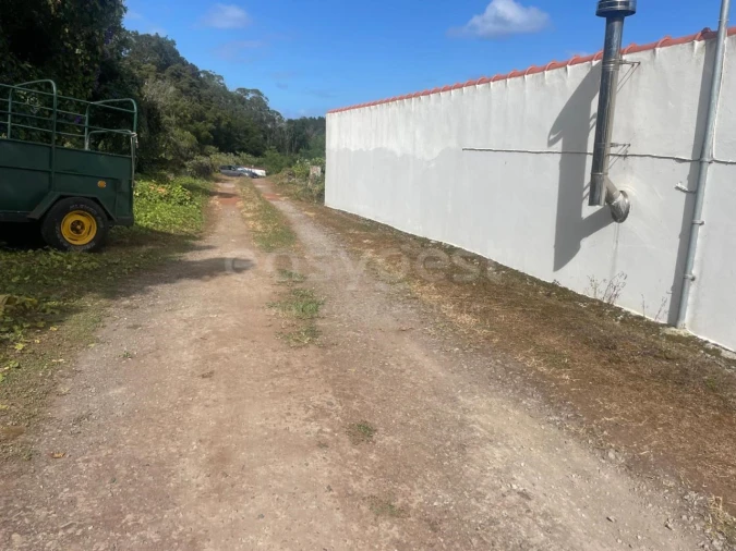 Terreno Agricola ou Rústico para Venda em Porto Martins Foto 19