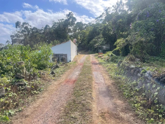 Terreno Agricola ou Rústico para Venda em Porto Martins Foto 20