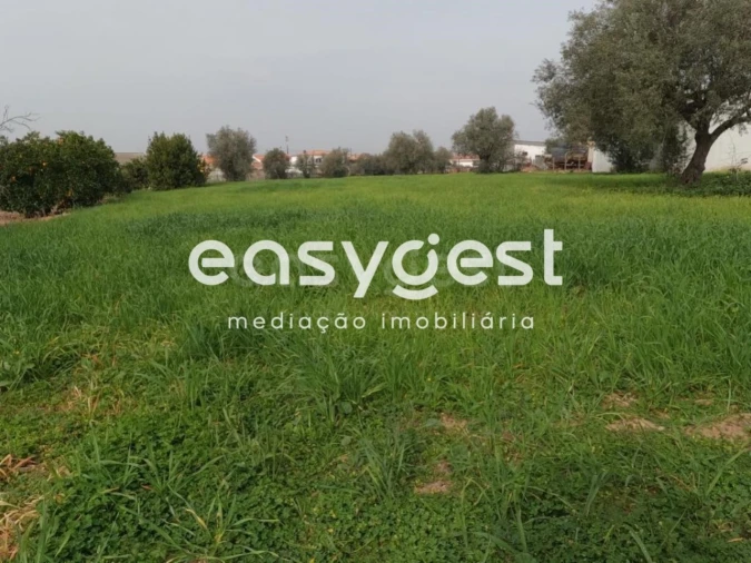 Terreno Agricola ou Rústico para Venda em São João de Negrilhos