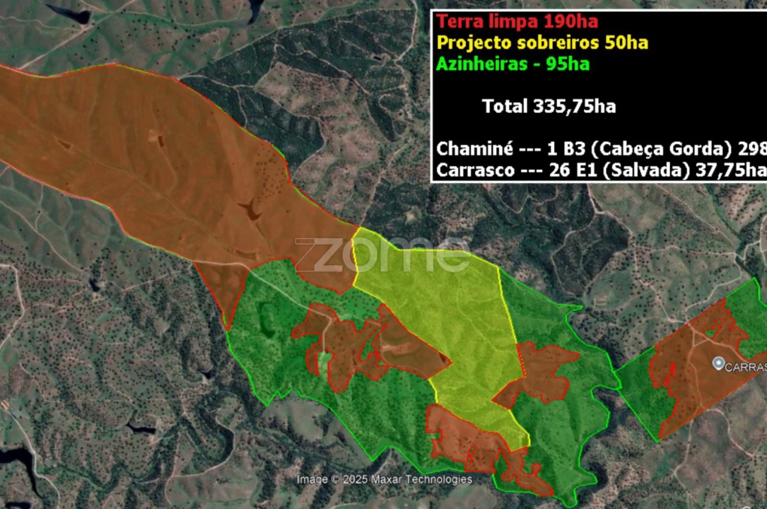 Terreno para Venda em Cabeça Gorda Foto 5