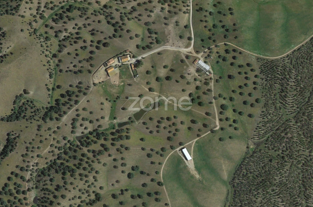 Terreno para Venda em Cabeça Gorda Foto 3