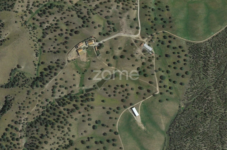 Terreno para Venda em Cabeça Gorda Foto 3