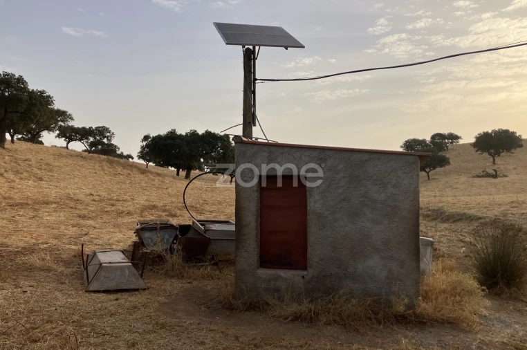 Terreno para Venda em Cabeça Gorda Foto 11