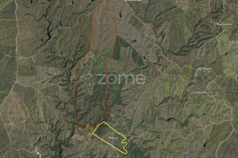 Terreno para Venda em Cabeça Gorda Foto 4