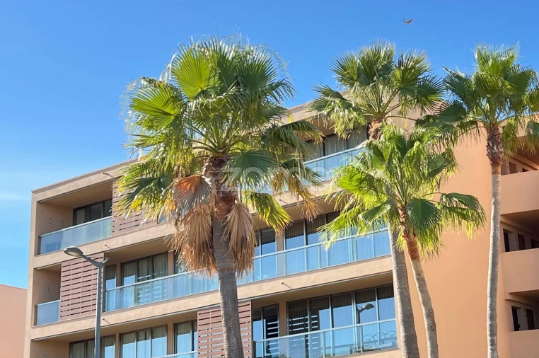 Apartamento T3 para Venda em Guia Foto 38