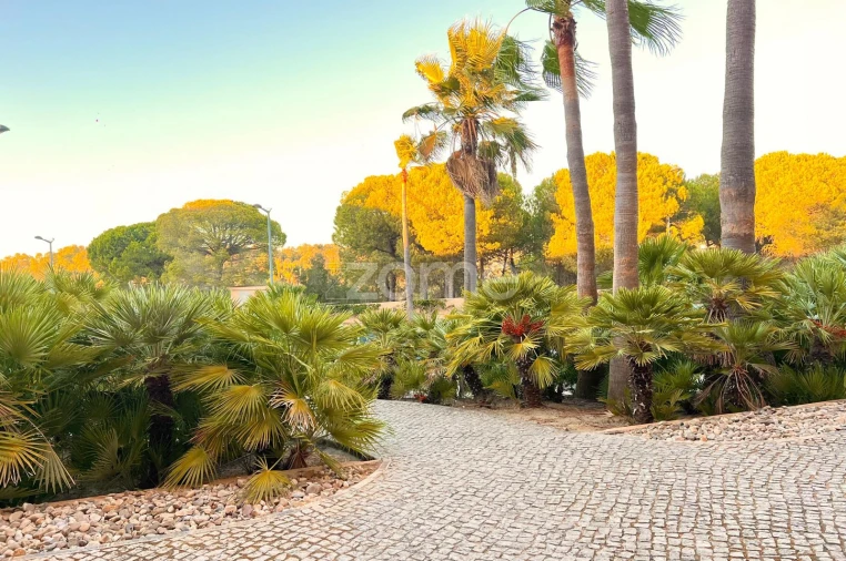 Apartamento T3 para Venda em Guia Foto 37