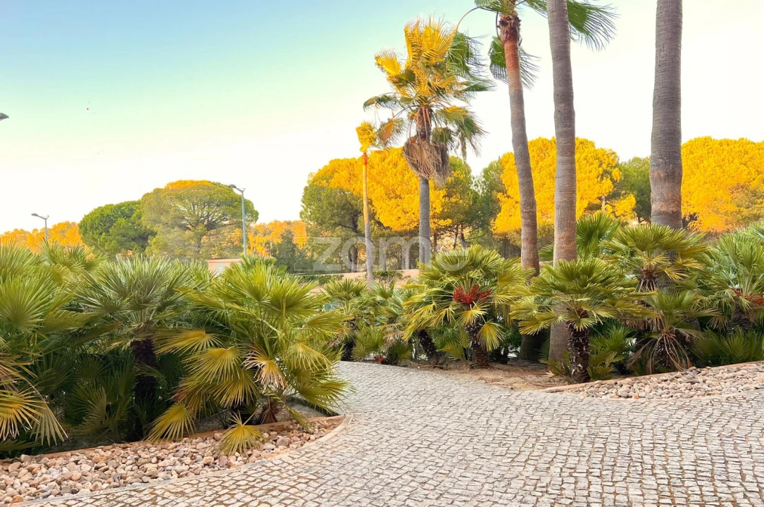 Apartamento T3 para Venda em Guia Foto 37